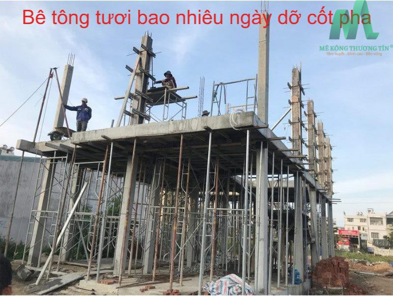 be tong tuoi bao nhieu ngay do cot pha 0