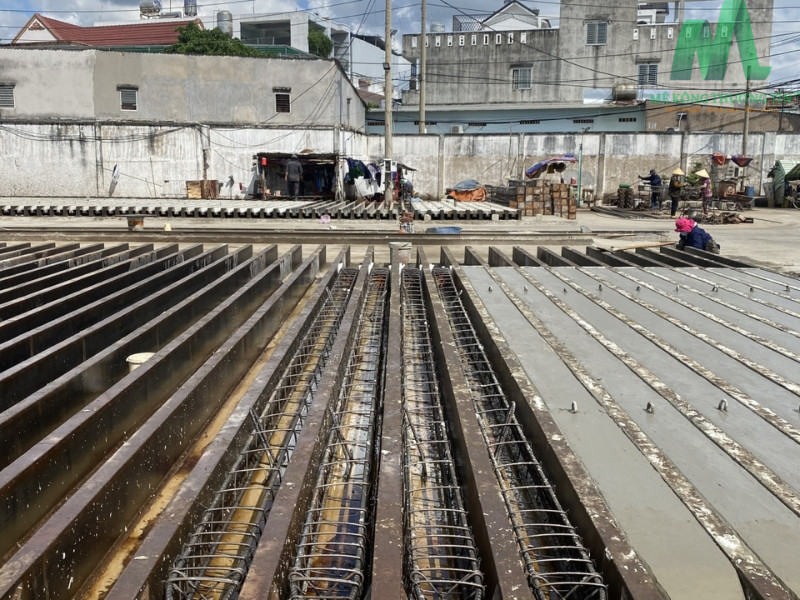 be-tong-tuoi-binh-tan