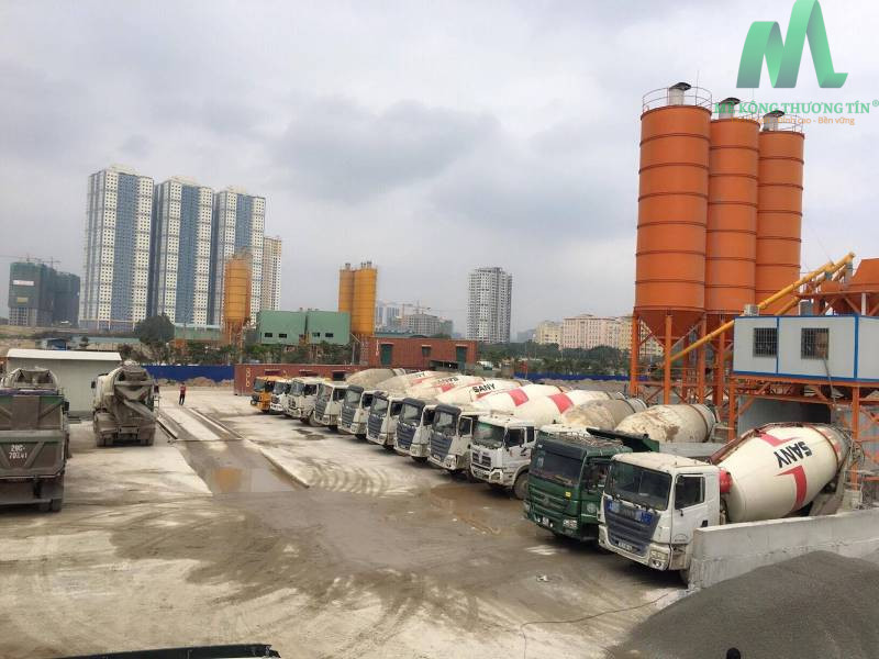 be-tong-tuoi-viet-nhat