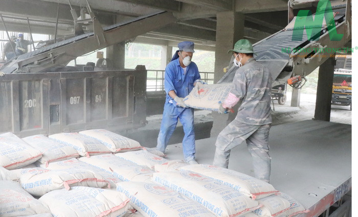 1 tấn xi măng bao nhiêu tiền