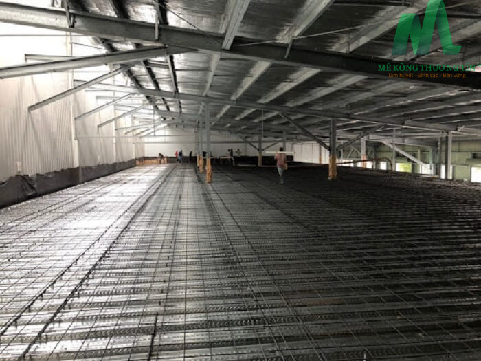 Cường độ nén trục dọc tự nhiên là 290.000 kg/cm²