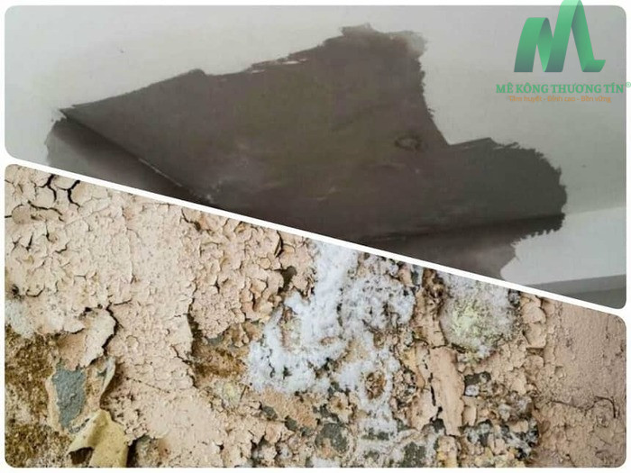 Độ ẩm và nhiệt độ không phù hợp