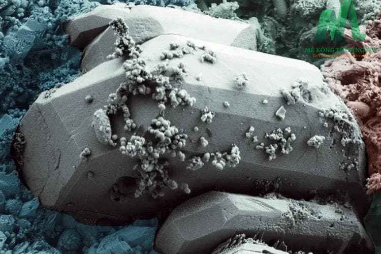 Bê tông sinh học có chứa vi khuẩn tự vá lành