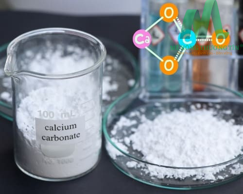 Công nghệ vi khuẩn tạo canxi cacbonat